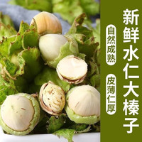 京鲜生 东北青皮水仁鲜榛子 单果10mm+ 净重750g