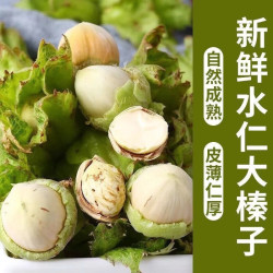 京鲜生 东北青皮水仁鲜榛子 单果10mm+ 净重750g