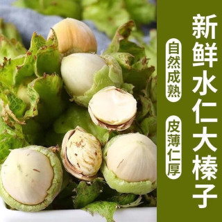 京鲜生 东北青皮水仁鲜榛子 单果10mm+ 净重750g