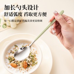 316不锈钢勺子 家用食品级 高档精致个人专用长柄汤匙儿童勺