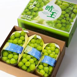 四川 一级特大果晴王 阳光玫瑰 葡萄 2.5斤装 单果10-20G