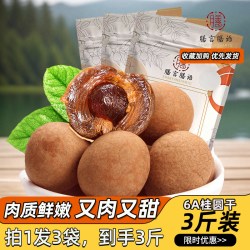 膳言膳语 桂圆干 500g 包装