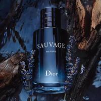 Dior 旷野之心男士香熏 60ml