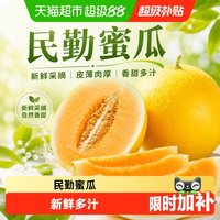 西域美农 甘肃民勤蜜瓜沙漠蜜瓜香瓜皮薄肉厚新鲜水果甜瓜脆甜 5-6 斤(2-3 枚装)