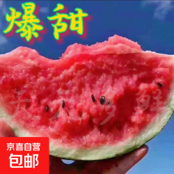 现摘麒麟西瓜美都8424冰糖新鲜应季有籽薄皮整箱水果 净重8-10斤（一个瓜）