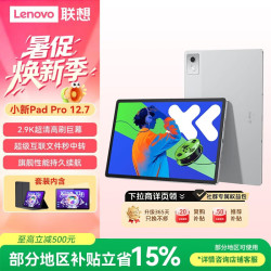 联想 小新Pad Pro12.7 平板电脑 2.9K高刷护眼大屏影音娱乐学习平板 10200mAh 8+256G霜雪银皮套膜套装