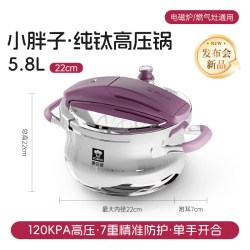 康巴赫 KBT-Z22L 纯钛压力锅 22cm 罗兰紫