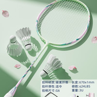 KAWASAKI 超轻系列 NATURE 100 羽毛球拍 6253855355139 单拍