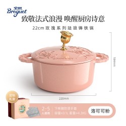宝玑 玫瑰珐琅铸铁锅22cm微压家用焖炖锅新婚礼物
