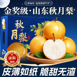 佟创 山东秋月梨礼盒 4.5斤普箱单果300g+