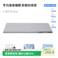 本屋创品A2pro记忆棉床垫宿舍单人租房海绵薄垫褥子家用学生软垫0.9*1.9m