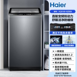 海尔 |海尔洗衣机双动力10kg波轮全自动家用精华洗直驱Max6