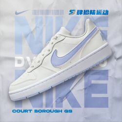NIKE Court Borough GS大童板鞋 DV5456-103