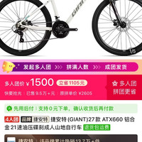 捷安特 https://mobile.yangkeduo.com/goods.html?ps=5pC9pNaElu
