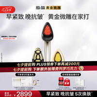 极萌 黄金微雕美容仪家用面部V脸淡纹抗皱提拉紧致嫩肤消水肿双下巴瘦脸仪器化妆镜