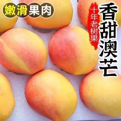 欣飞果源 澳芒苹果芒果 4.8斤