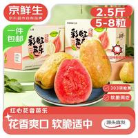 京鲜生 软糯红心芭乐净重3斤单果150g起 番石榴 新鲜水果源头直发