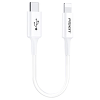 品胜 USB转PD快充数据线 白色 0.25米
