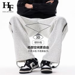 Holdfree 男士宽松抗皱阔腿裤 2026
