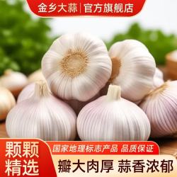 金乡大蒜 金乡新鲜干蒜 净重3斤优选中果45-50mm