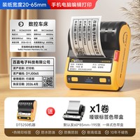 德佟印立方 DT5250热转印标签打印机哑银固定资产不干胶条码贴纸设备标识卡防晒防褪色大尺寸手持便携式标签机