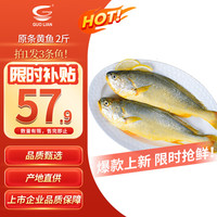 国联 东海原装黄鱼1kg 三条装 烧烤食材 自营海鲜水产