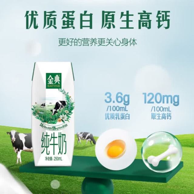 伊利 SATINE 金典 纯牛奶 250ml*16盒*2箱