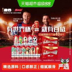 百威 FIFA世界杯限定啤酒 500ml*24听