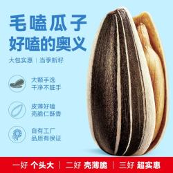 毛嗑 五香瓜子 500g 袋装