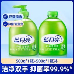 蓝月亮 洗手液500g*2瓶装芦荟抑菌去污家用套装补充装