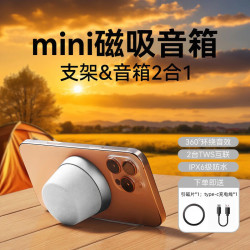 萨勒芬妮 磁吸蓝牙音响浴室露营迷你无线手机mini小音箱家用桌面重低音炮防水音乐播放器 银白色