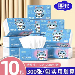 丽邦 300张抽纸整箱家庭装餐巾纸批发面巾纸家用卫生纸抽