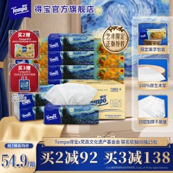 得宝 梵高艺术抽纸 4层90抽15包(160*195mm)