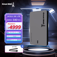 长城 8TB SSD固态硬盘 SATA3.0接口 读速540MB/S台式机/笔记本通用 GW560系列