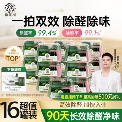 FULL OF HOPE 希望树 双舱除醛宝 新房家用清除剂 16x1x1罐