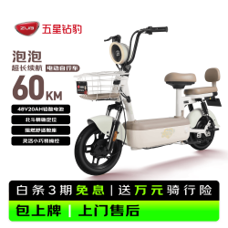 五星钻豹 电动自行车泡泡新国标长续航电动车48V20AH铅酸智能日常上班男女通勤代步可上牌芦荟浅绿