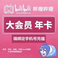 bilibili 哔哩哔哩 大会员年卡