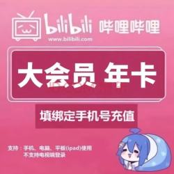 bilibili 哔哩哔哩 大会员年卡