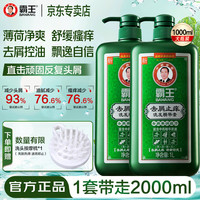 霸王 去屑止痒洗发液1000ml*2瓶(赠洗头按摩梳)