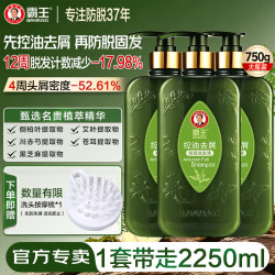 霸王 防脱[控油去屑]洗发液750ml*3瓶