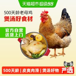 温氏 供港老母鸡 1.2kg