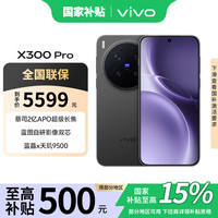 vivo X300 Pro 5G 手机 纯粹黑 12GB 256GB