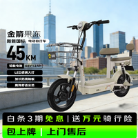 金箭 长续航 电动自行车 铅酸电池 棕色