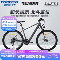 永久 F58 摩天灰 26英寸 油碟 助力电动自行车