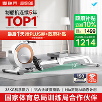 麦瑞克 Q1 磁阻划船机 MRSRM53163 白色 金属 专业款
