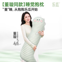 乐瓜 凉感可拆洗 加大恐龙-冰凉款 长条抱枕