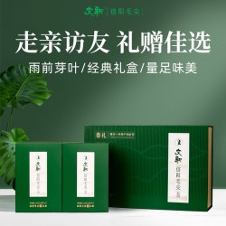 文新 信阳毛尖 一级 250g