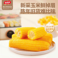 田本部 吉林黄糯玉米 250g*8棒