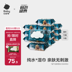 babycare 婴幼儿纯水湿巾加厚擦脸带盖大包装 皇室木法沙湿巾70抽*12包  70抽 12包