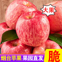 甜醉了 烟台苹果栖霞红富士新鲜水果生鲜山东特产脆甜整箱平果礼盒 5斤 一级大果85mm